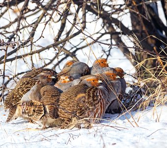 Не замёрзнем...