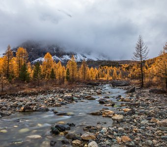 Актуру