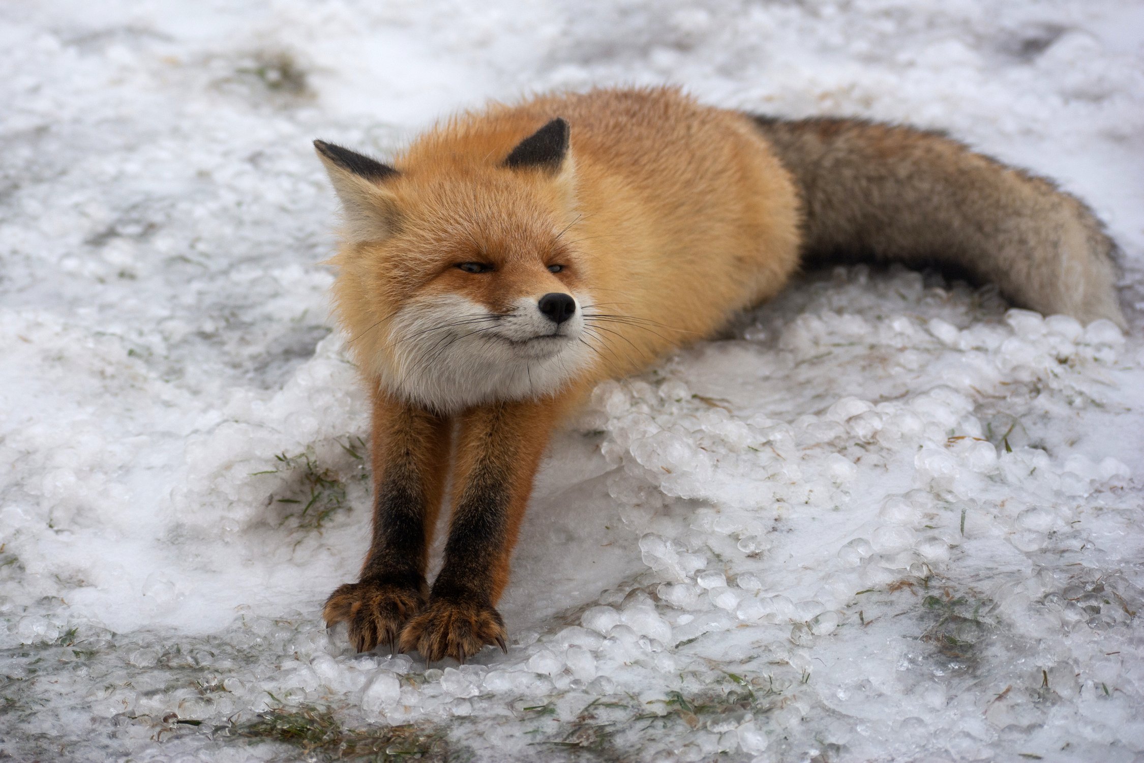 Утренняя зарядка