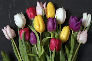 Технологичные подарки к 8 Марта: идеи для дома, отдыха и комфорта