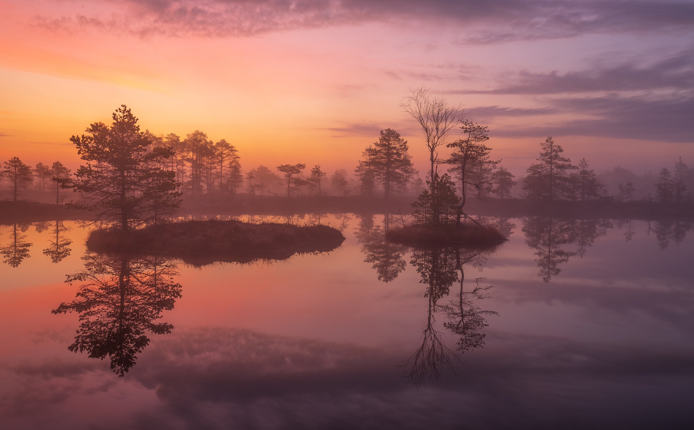 Очарование северных болот