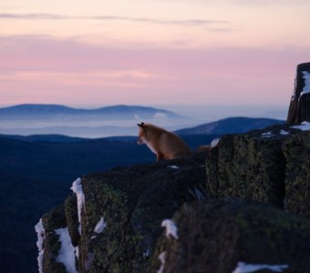 В ожидании рассвета
