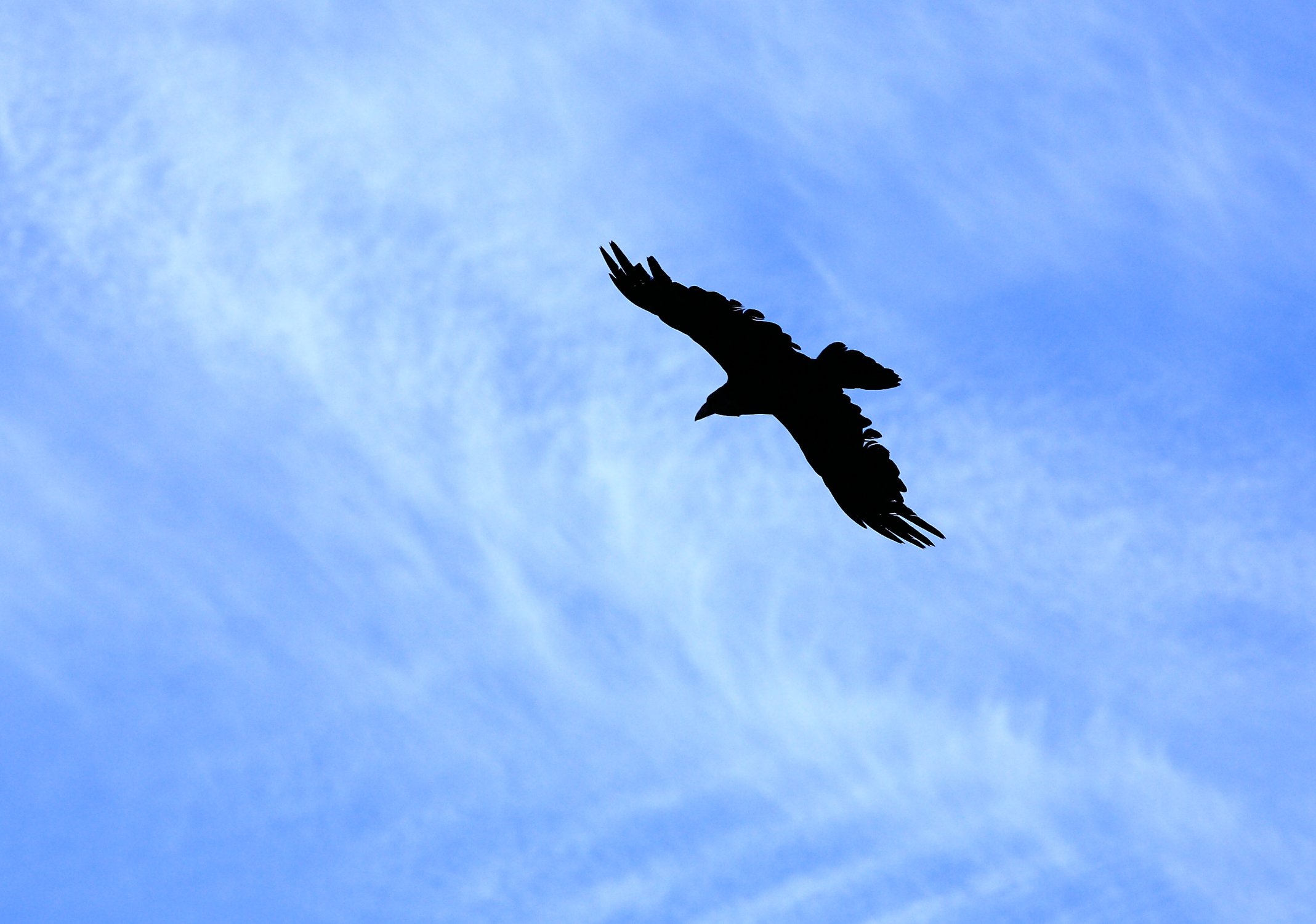 Полет в невесомости