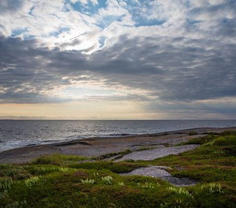 Белое море