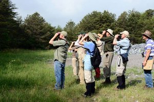 Наблюдение за птицами благоприятно влияет на наш мозг