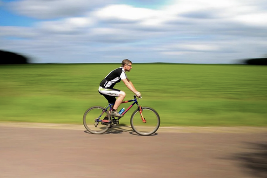 Вдоль Дона под Воронежем планируют создать веломаршрут с туристической инфраструктурой