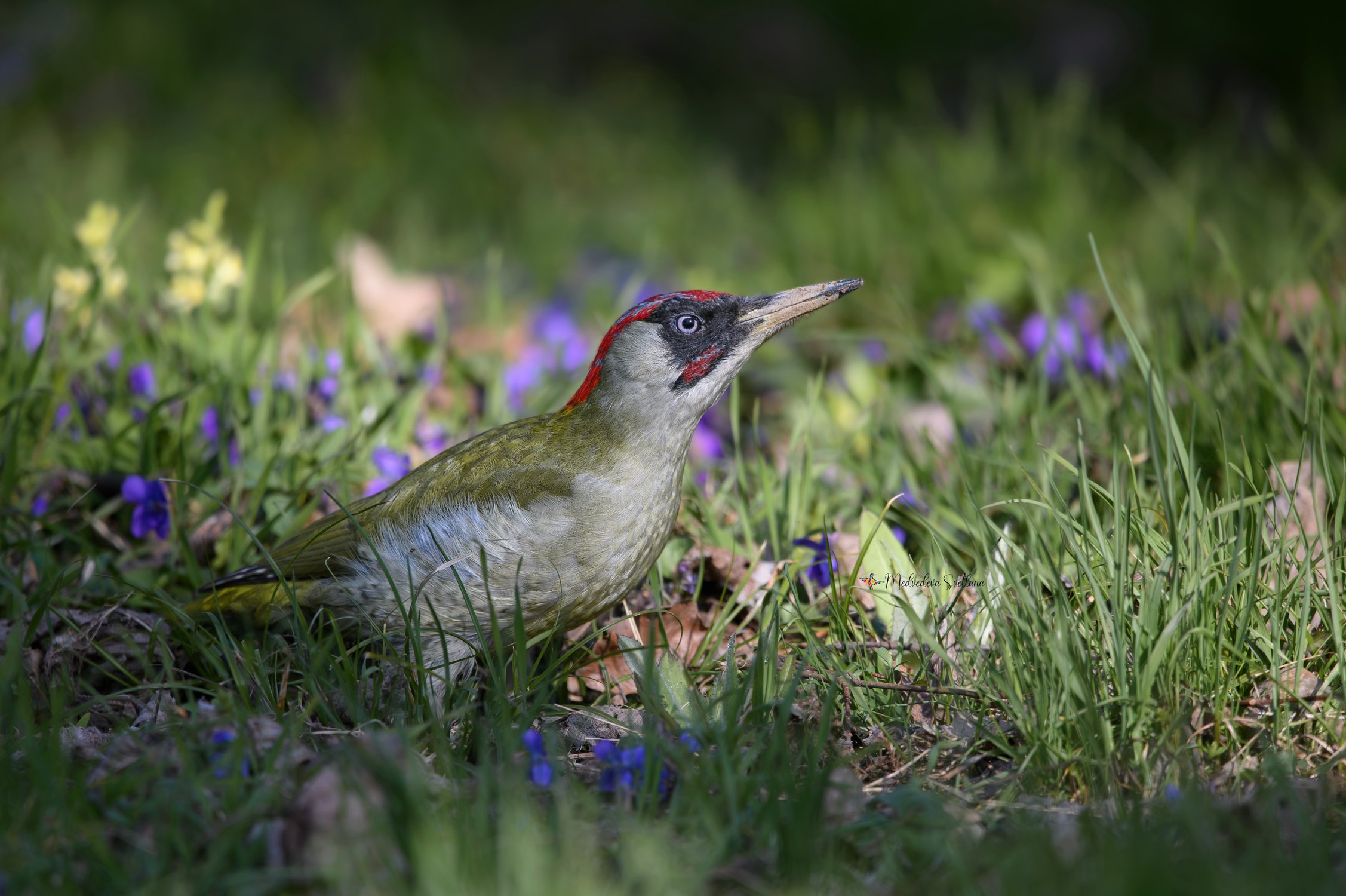 Весна всем к лицу