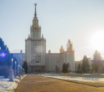 Солнечные зайчики