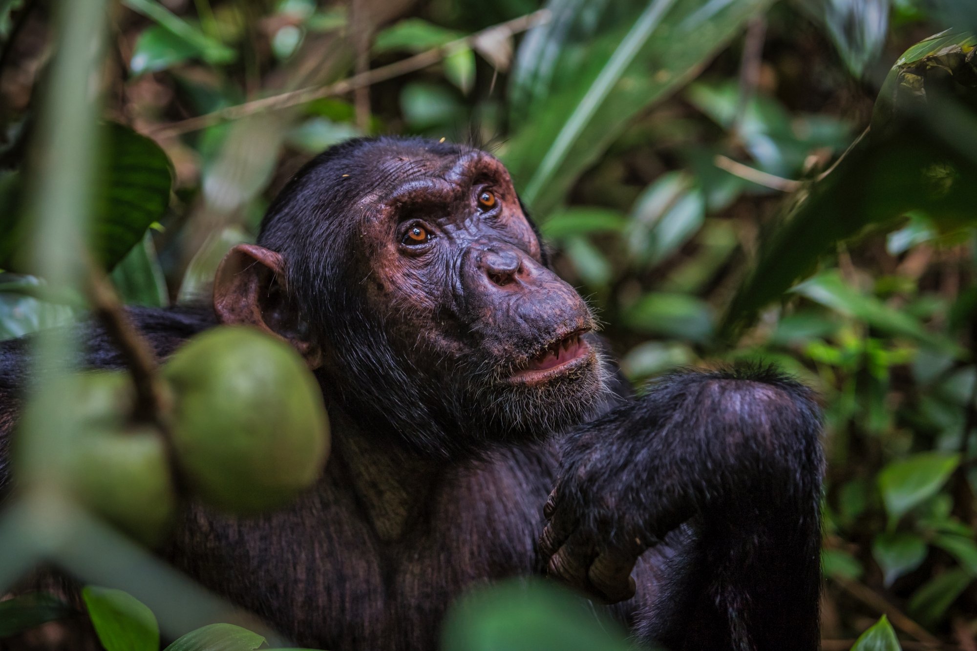 Роденовский мыслитель
