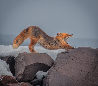 Зарядка на берегу Охотского моря