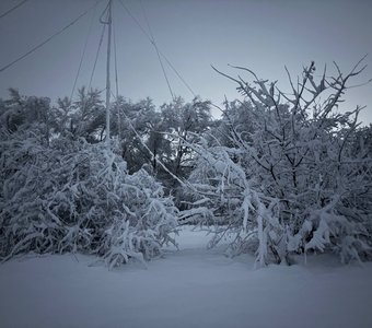 Заснеженная Россия