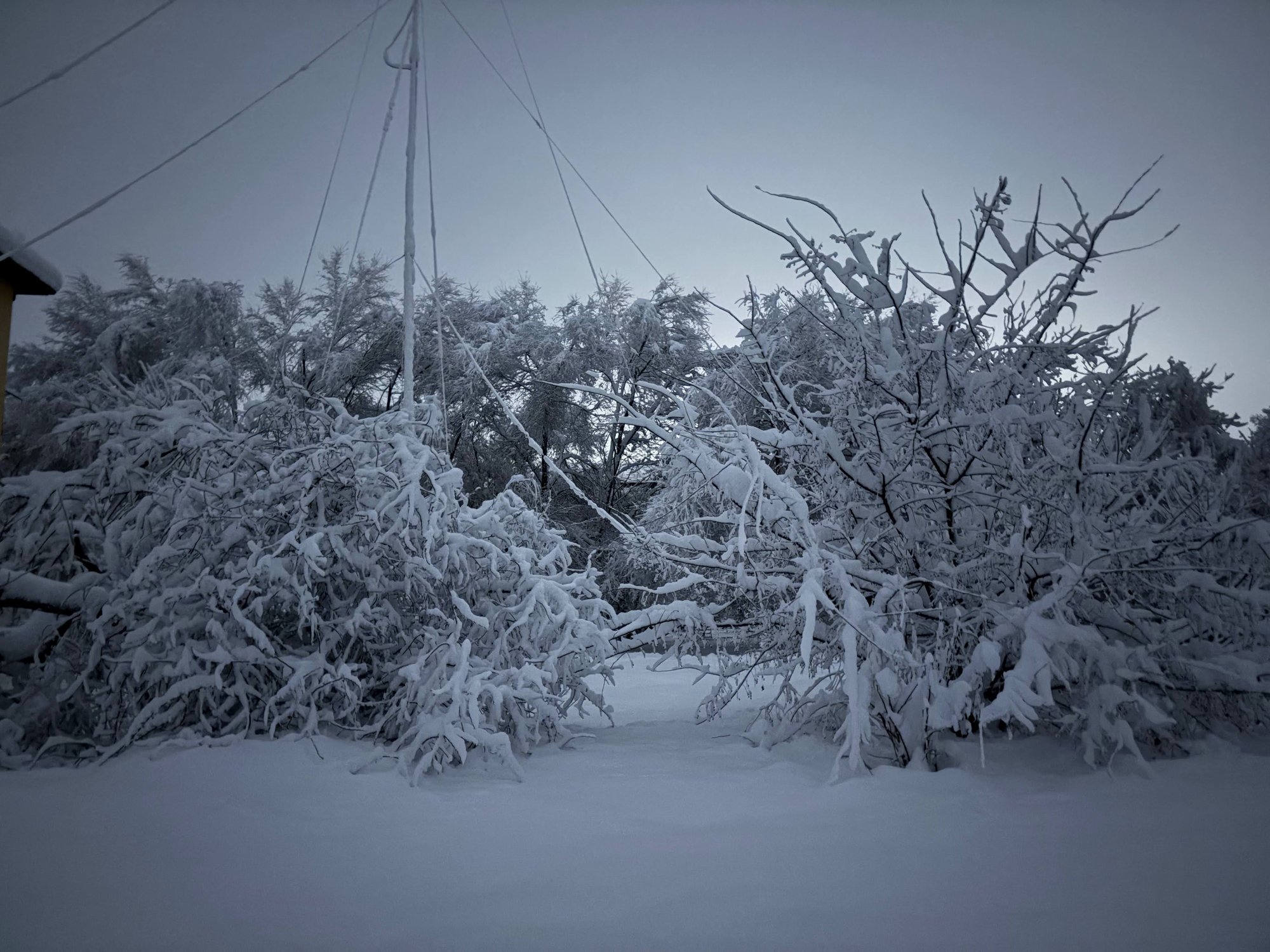 Заснеженная Россия