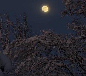 Снег и Луна