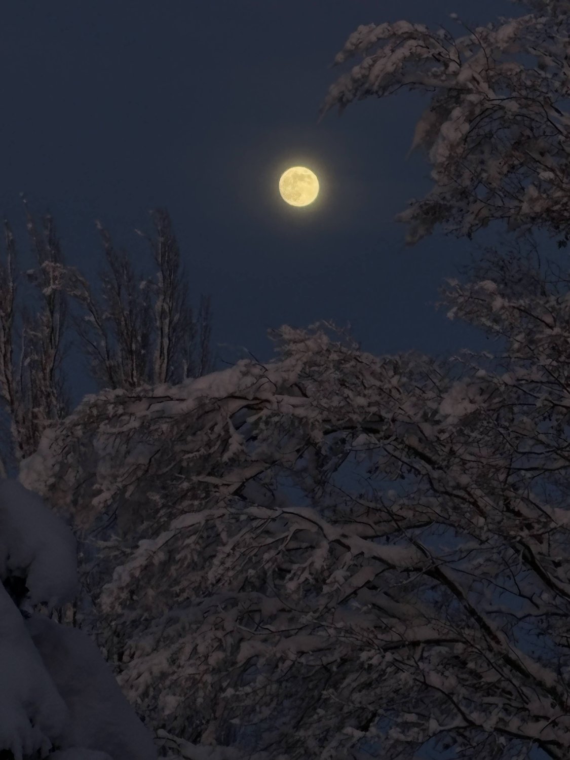 Снег и Луна