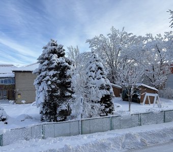 Морозное утро