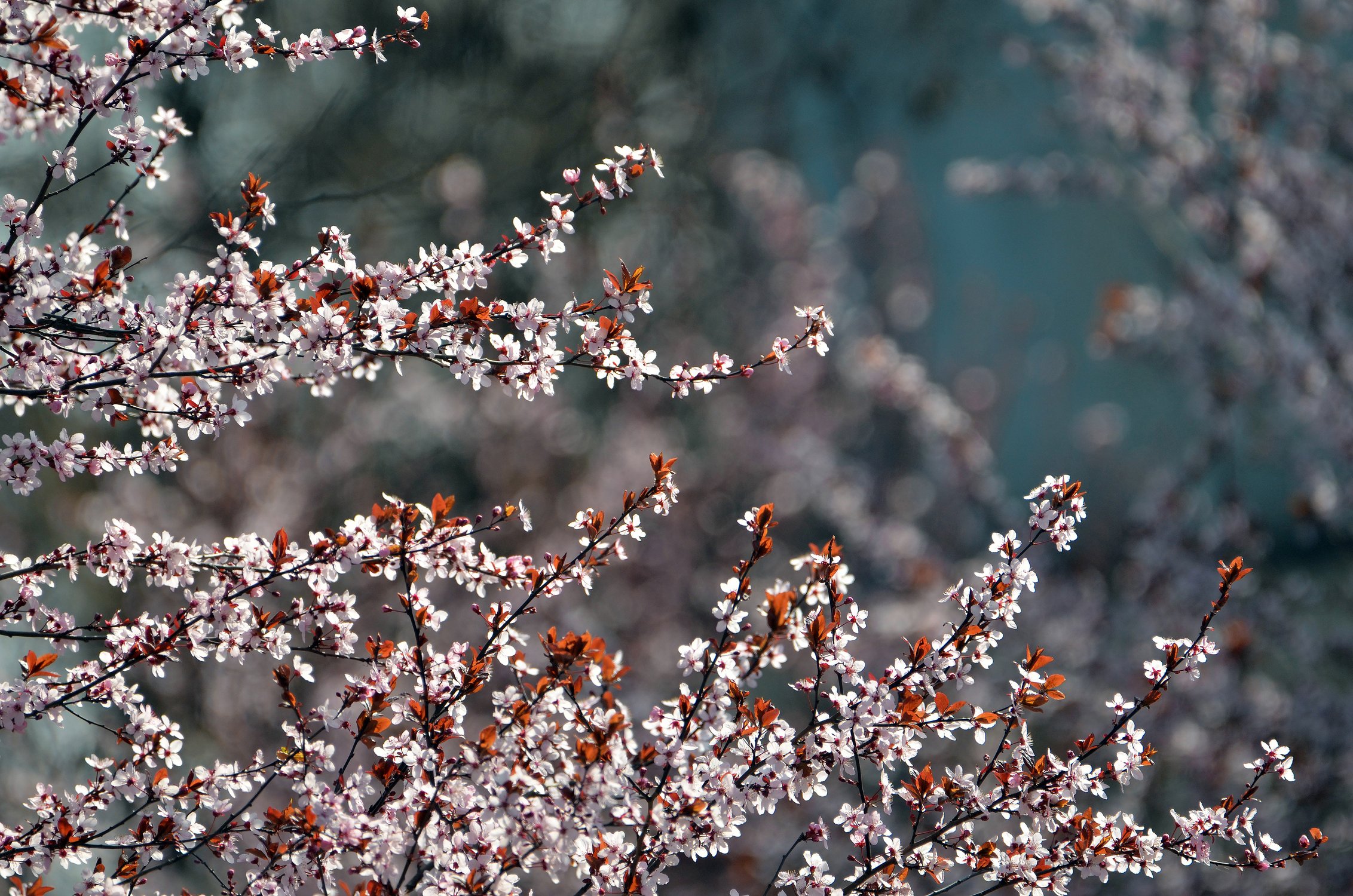 В стиле Ван Гога