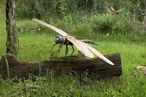 Почему древние насекомые были такими гигантскими?