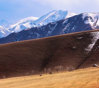 Музыка весны