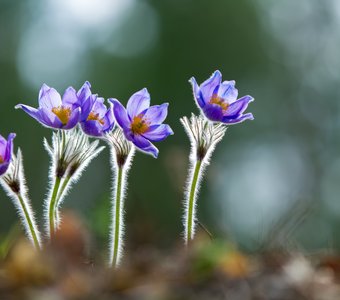 Равнение на весну