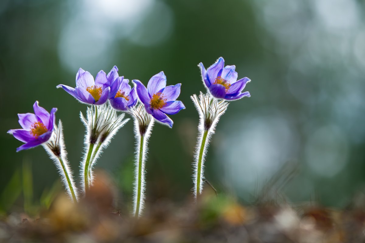 Равнение на весну