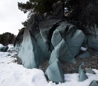 На берегу Телецкого озера. Яйлю.