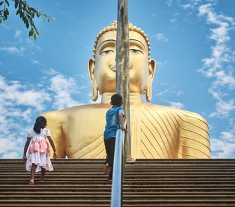 Дорога вверх