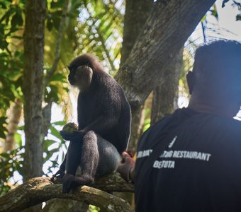 Нет, не хочу больше...