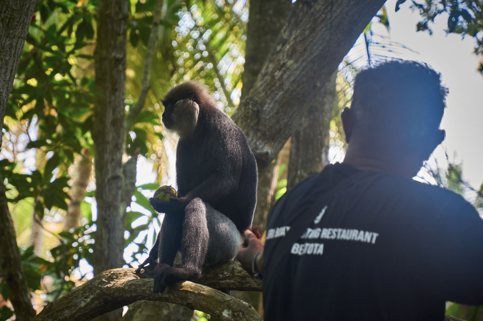 Нет, не хочу больше...