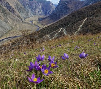 Долина реки Чулышман