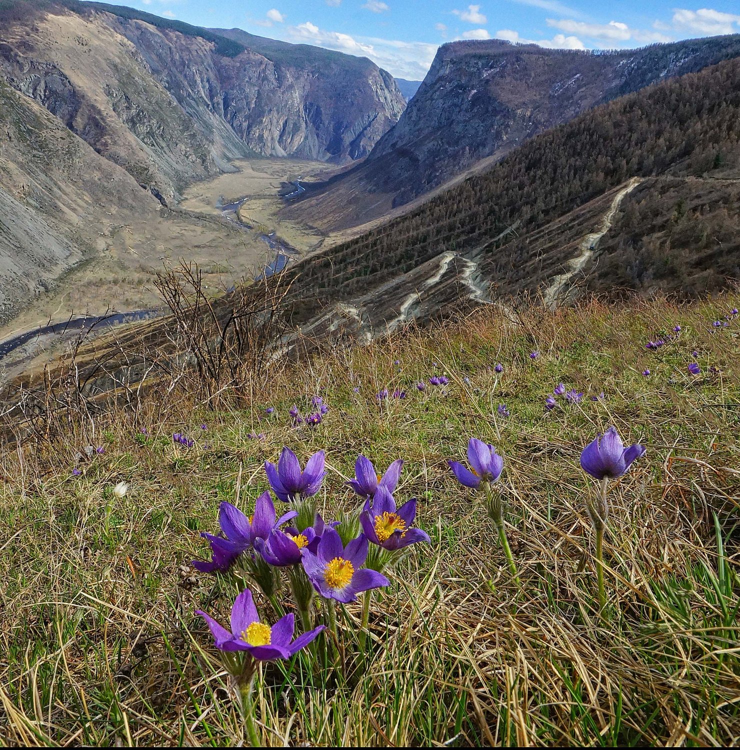 Долина реки Чулышман