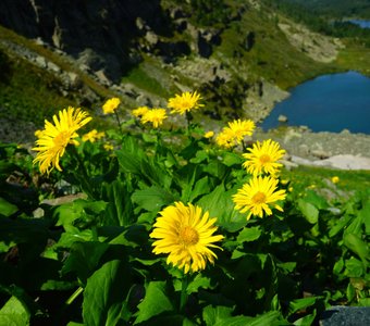 Каракольские озера