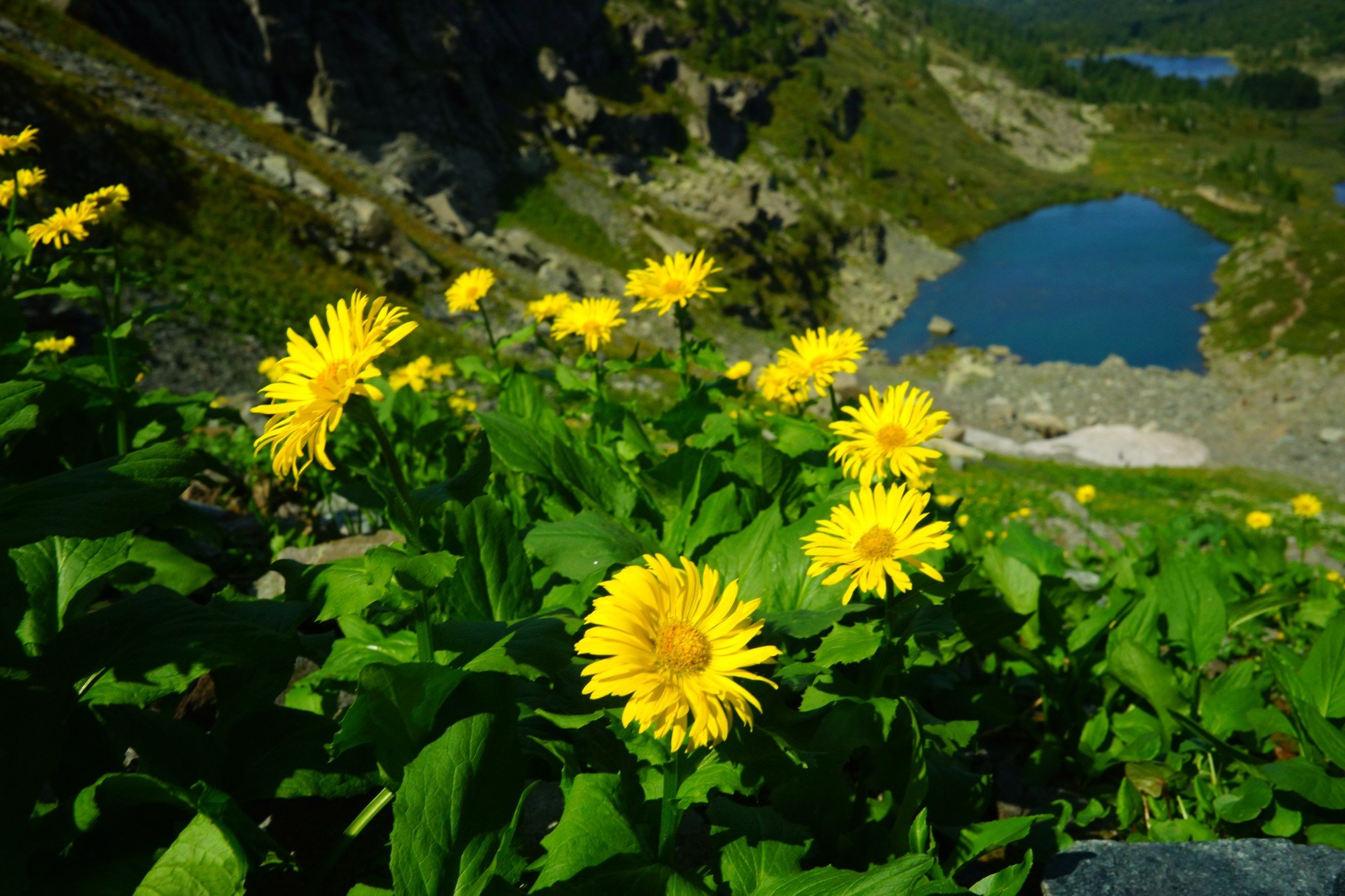 Каракольские озера