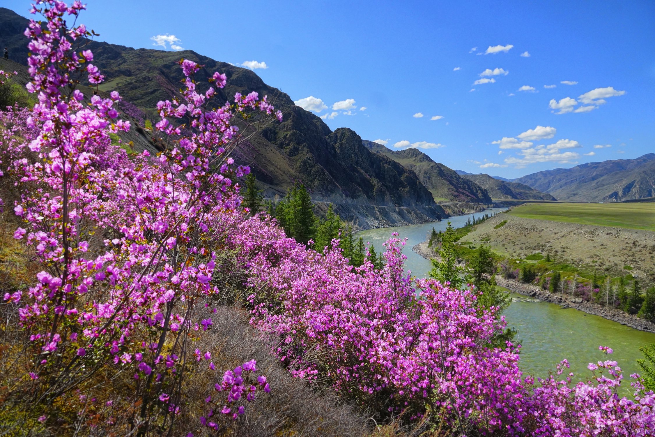 Май в Горном Алтае