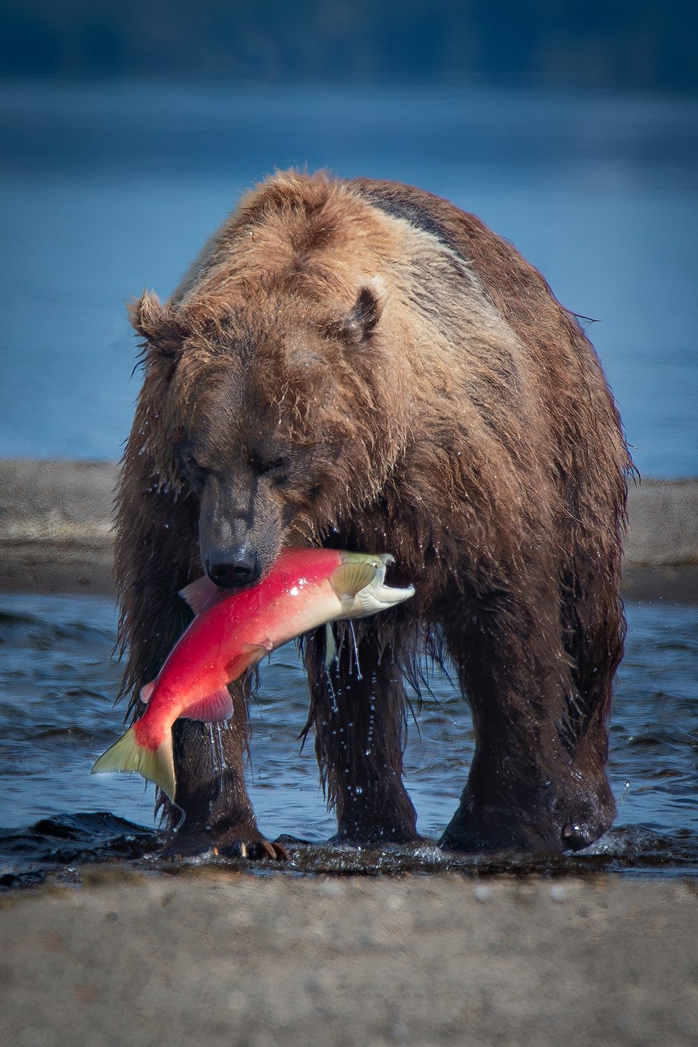 Ушел на обед