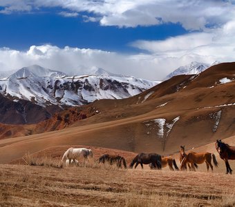 Музыка весны