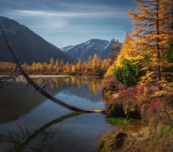 На берегу очень дикой реки