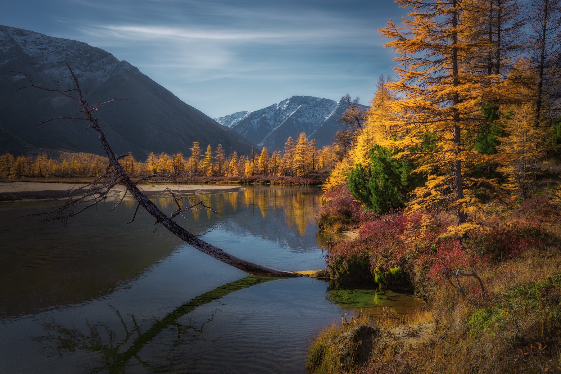 На берегу очень дикой реки
