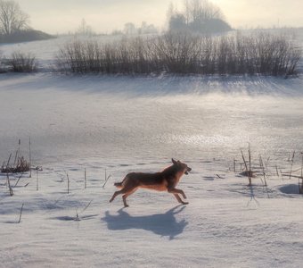 Утром