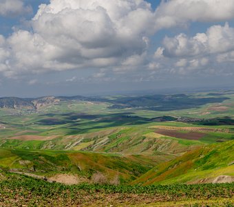 Зеленые холмы Африки