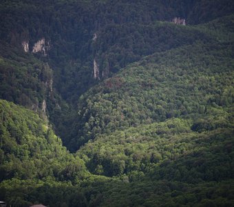 Ущелье реки Курджипс