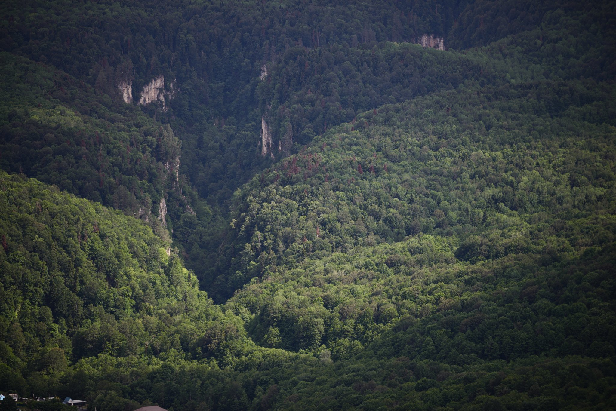 Ущелье реки Курджипс