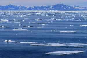 В Антарктиде завершился сезон трансконтинентальных авиаперелётов