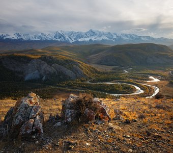 Изгибы реки Чуя