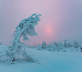 Кольский полуостров