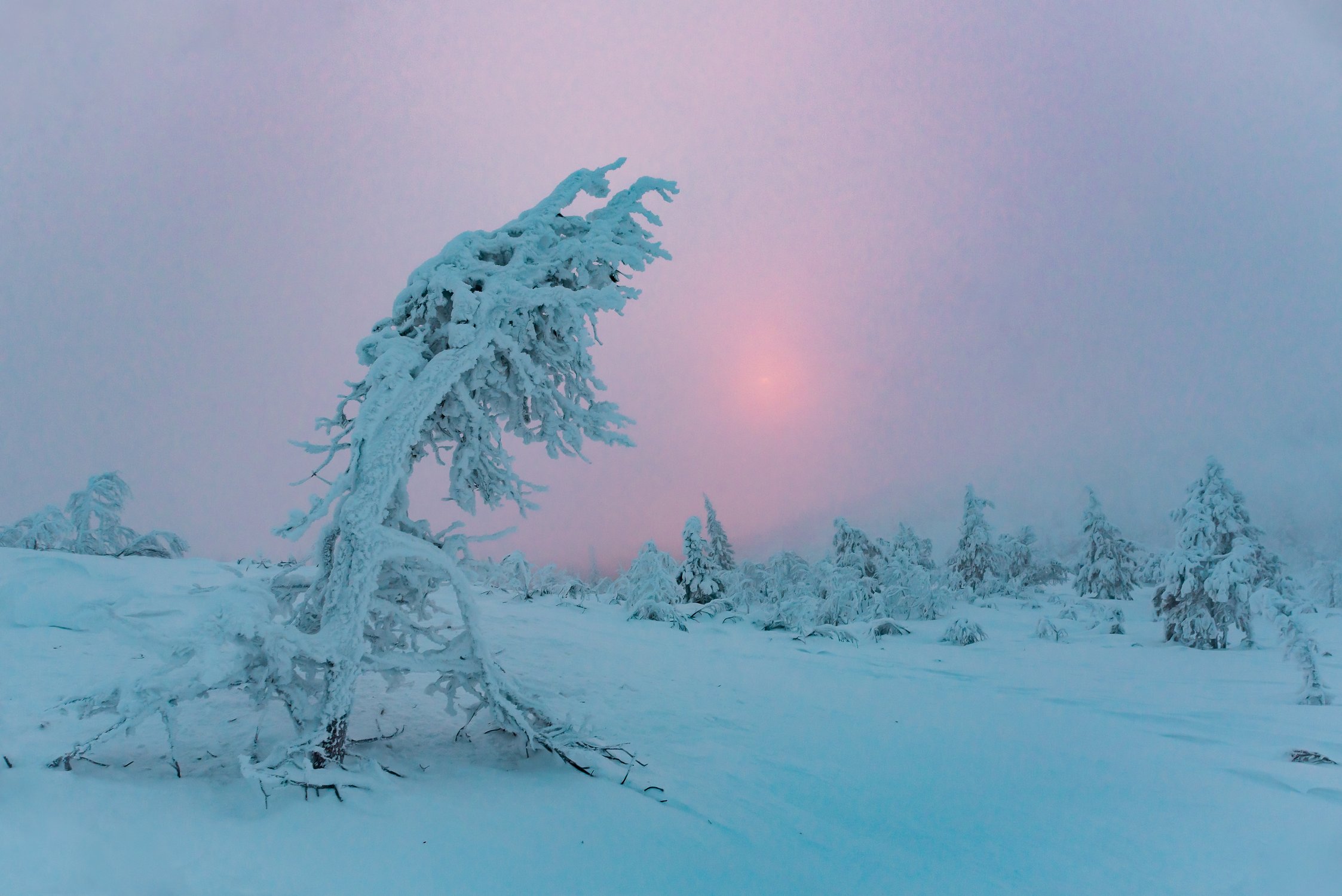Кольский полуостров
