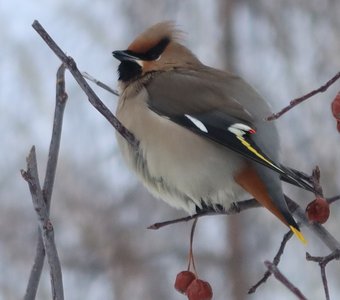 В начале марта