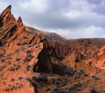 Марсианские хроники