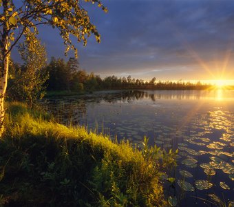 Один маленький шанс