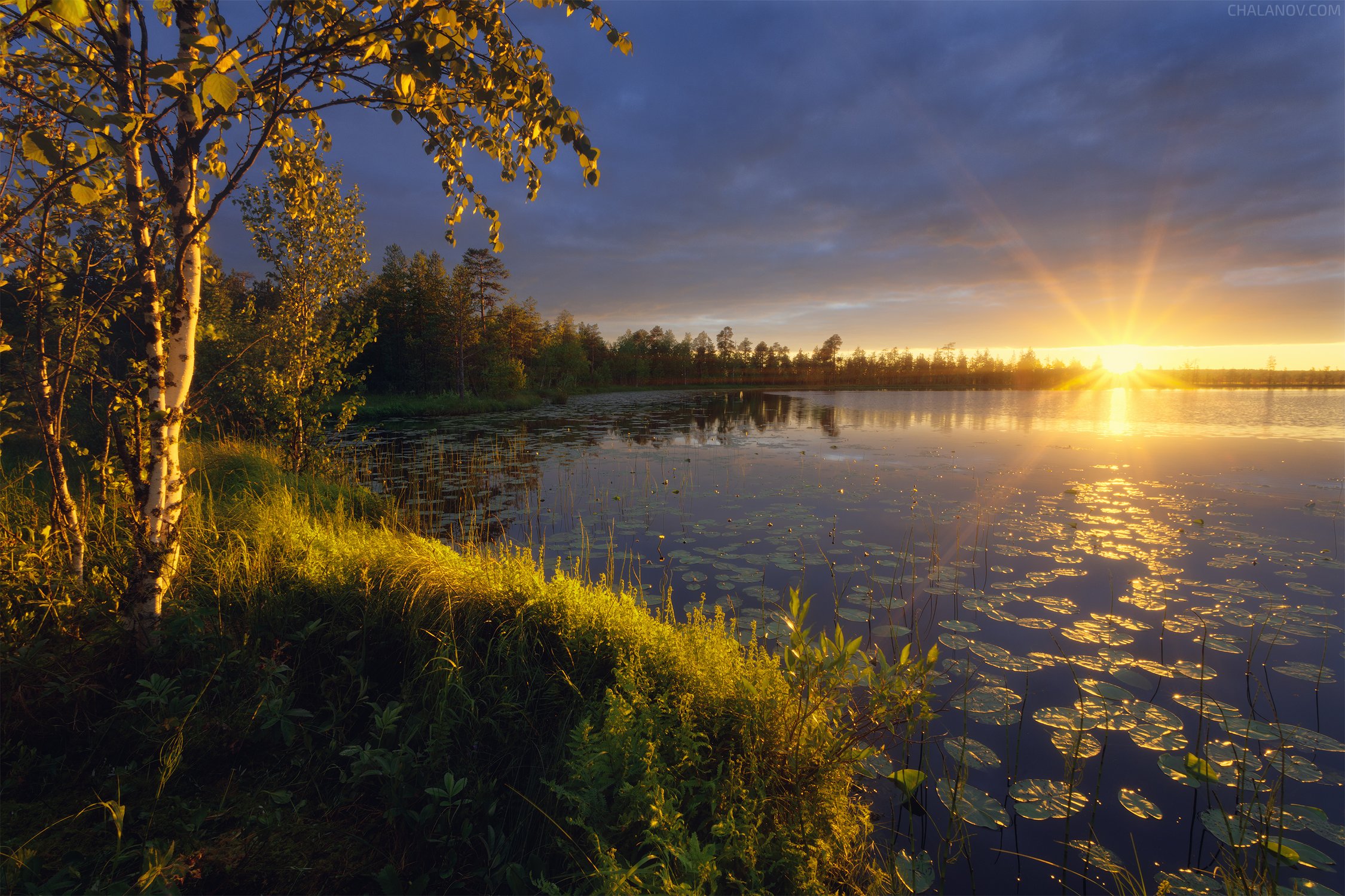 Один маленький шанс