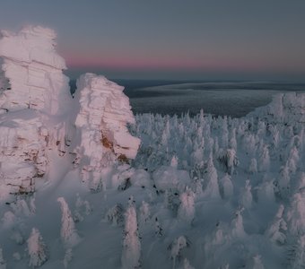 В вечернем свете